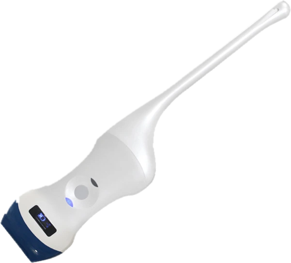 Suresult D2LT wireless ultrasound with a linear head and a transvaginal head on one body